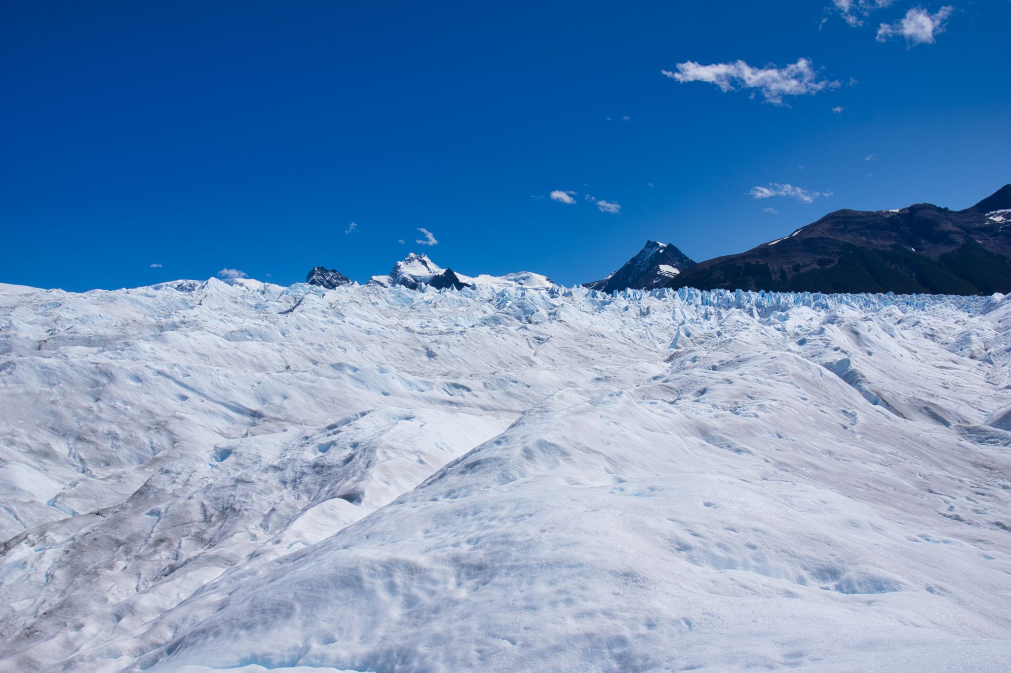 Argentina El Calafate  243